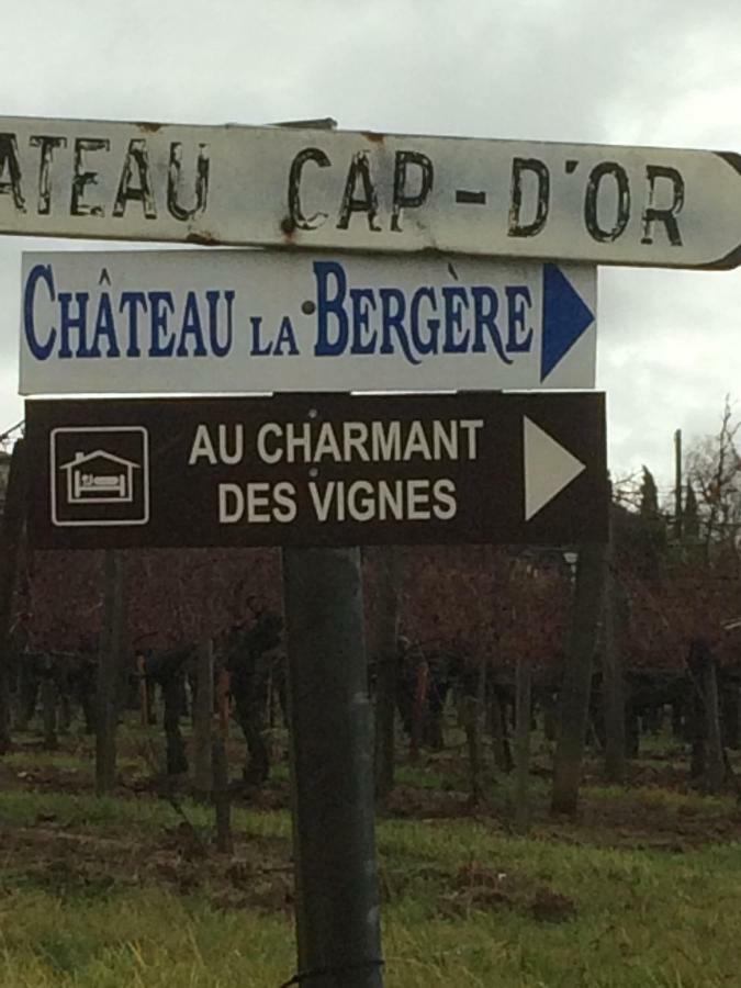 Au Charmant Des Vignes Montagne  Ngoại thất bức ảnh